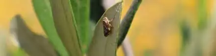 Un'immagine generica segnaposto con angoli arrotondati in una figura.